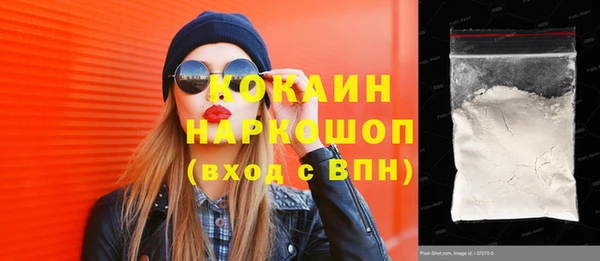 спиды Новозыбков