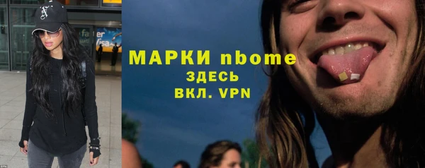 индика Нефтекумск