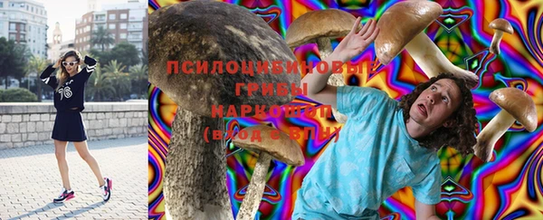 прущие крисы Новодвинск