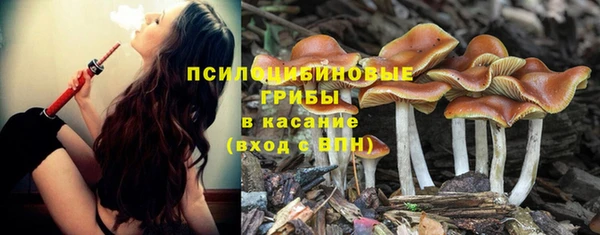 мдма Новокубанск