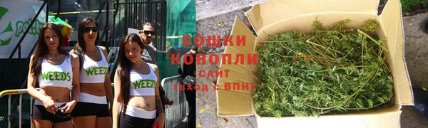 спиды Новозыбков
