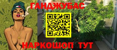 скорость Гатчина