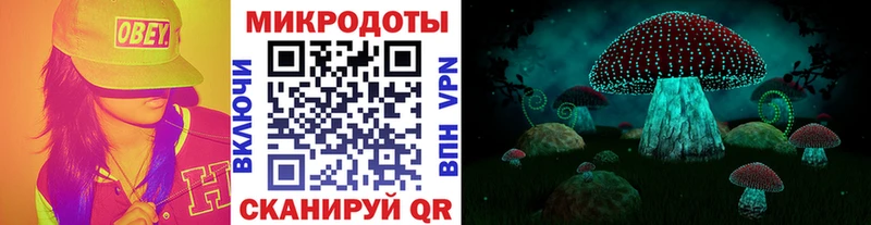 Псилоцибиновые грибы Cubensis Киров