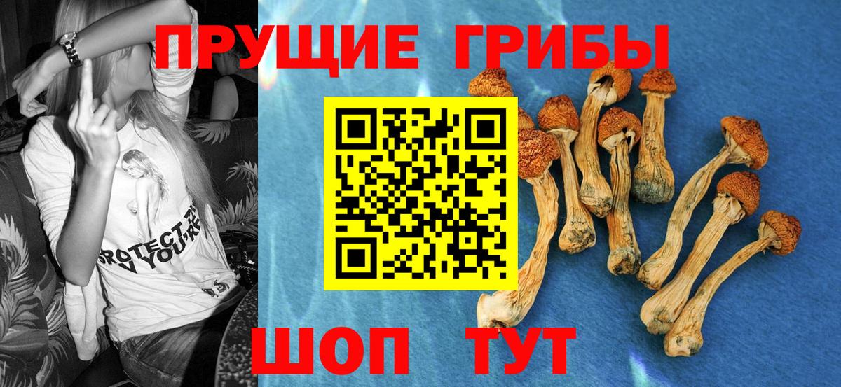 Галлюциногенные грибы GOLDEN TEACHER  Вход с VPN  Киров 